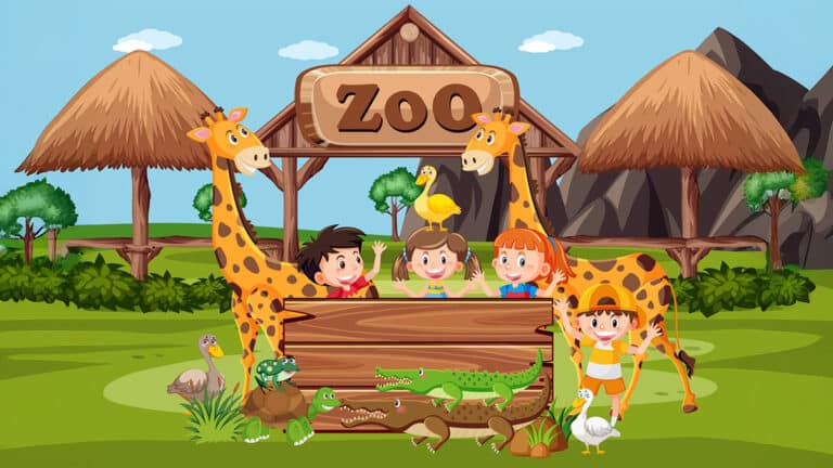 Zoo animals and kids experience