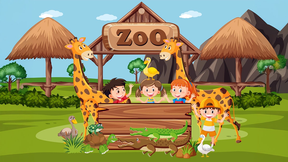 Zoo animals and kids experience