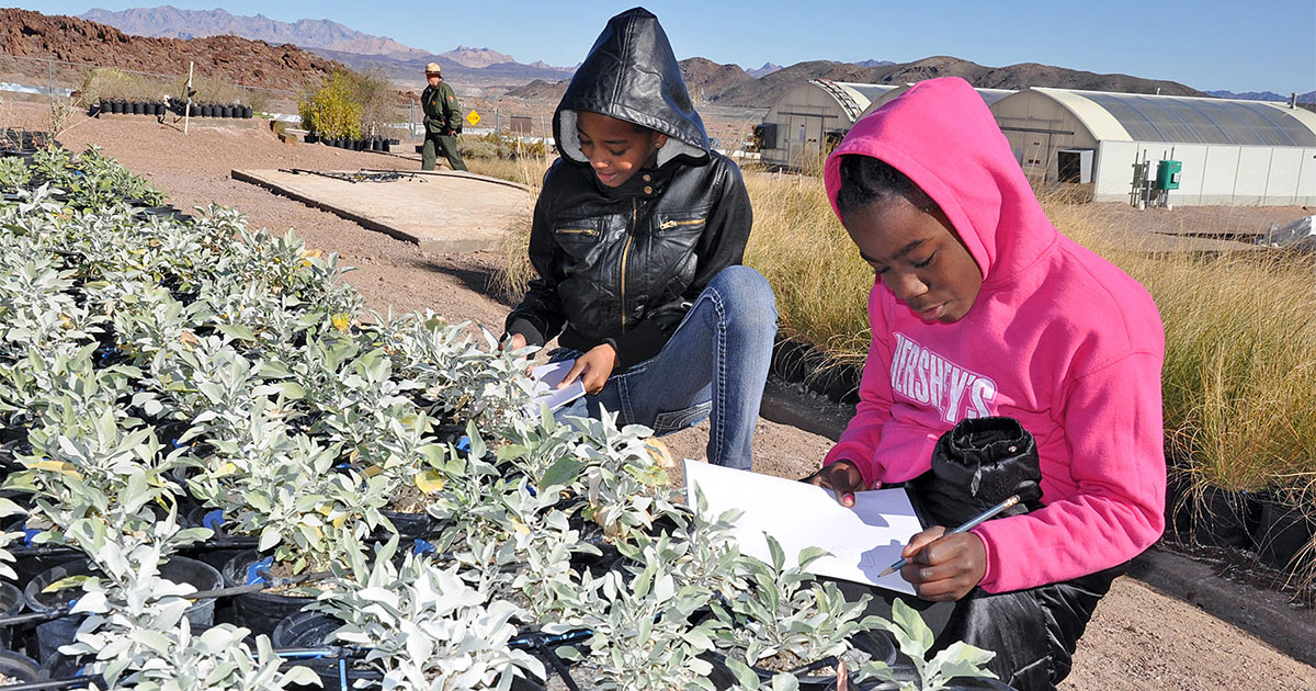 Children observing plants